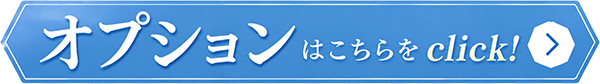 オプションはこちらをクリック！